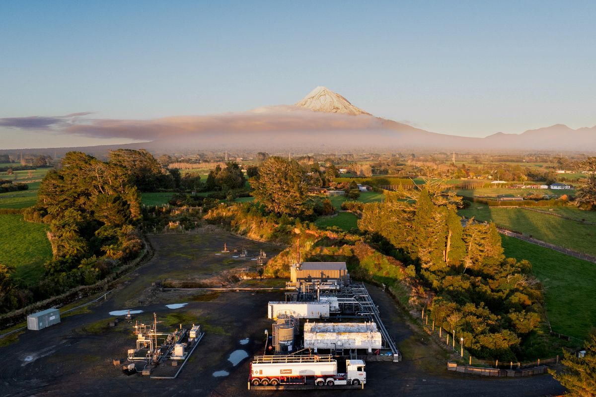 New Zealand's Energy Sector Gains Boost: A Sweet Deal for Grocery Prices!
