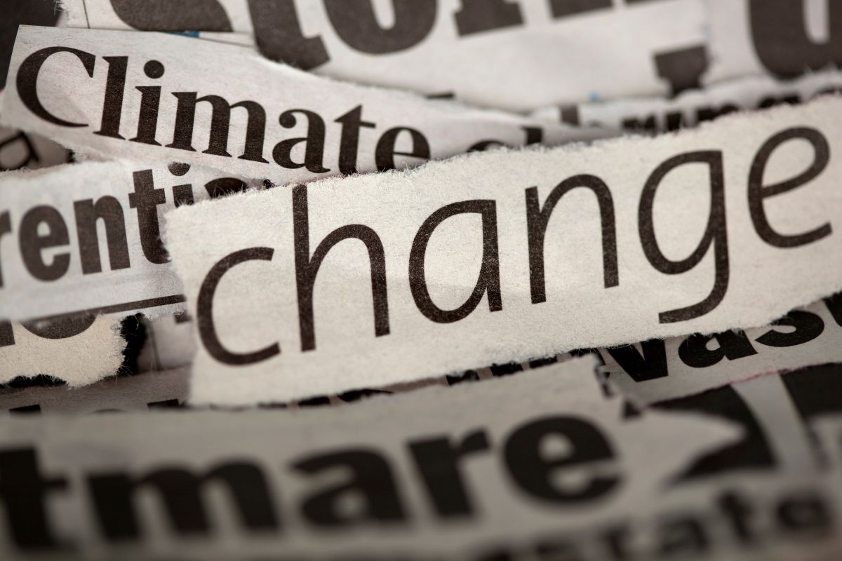 Govt Clarifies Business’ Environmental Obligations - Supermarket News