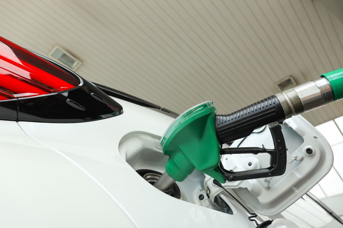 Economy Picking Up Pace Before Fuel Price Spikes - Supermarket News