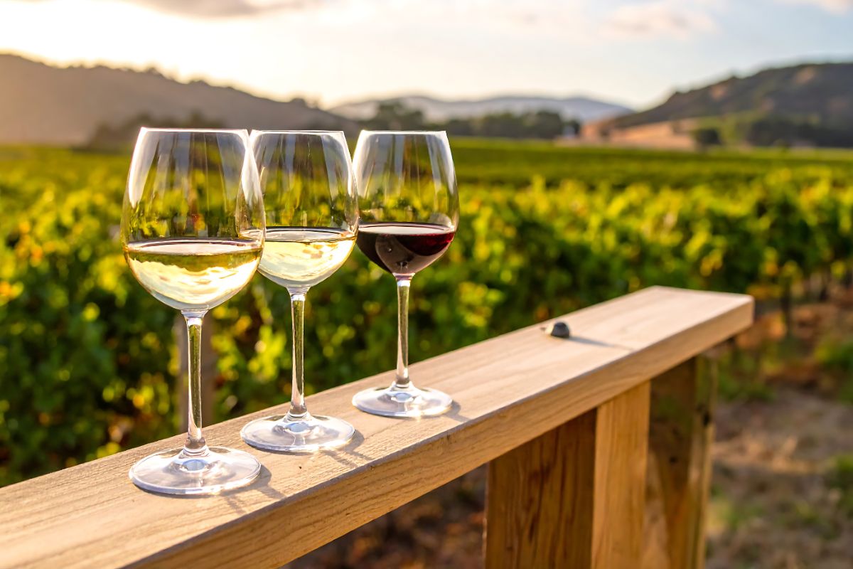 New Opportunities For New Zealand Wine Exporters